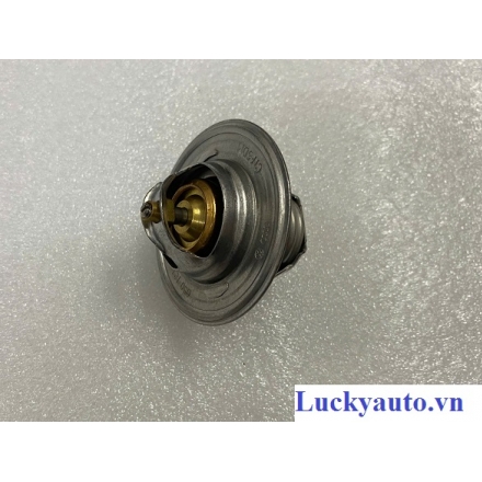 Van hằng nhiệt xe Volkswagen New Beetle_ 050121113C 